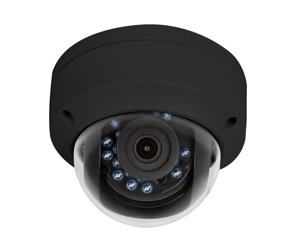 Black Luma 110 series Analog Dome camera