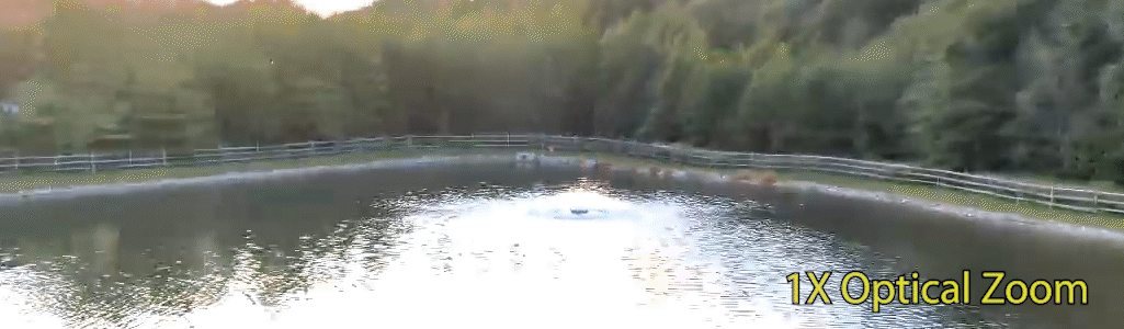 Zoomed in Image of a deer standing by a pond