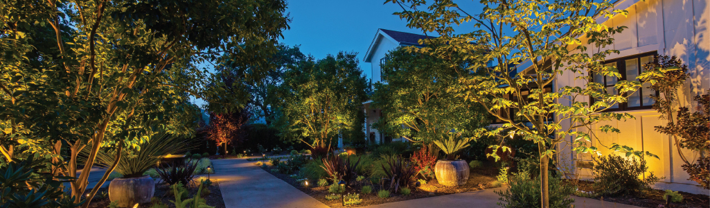 Landscaped yard featuring up lights